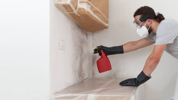 Professional Attic Mold Removal technician working in Portland, MI