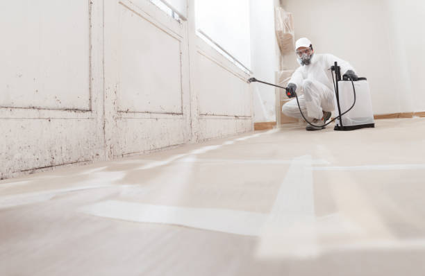 24/7 Emergency Attic Mold Removal experts in Portland, MI