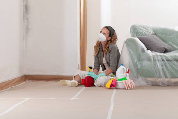 Reliable Attic Mold Removal contractor in Portland, MI by WQB Mold Removal